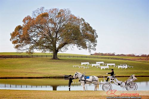 World Class Wedding  Venues  With Mountain View Farm to Host 